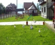 Titlu poza 16